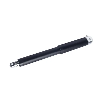 SLA38M linear actuator, main product view