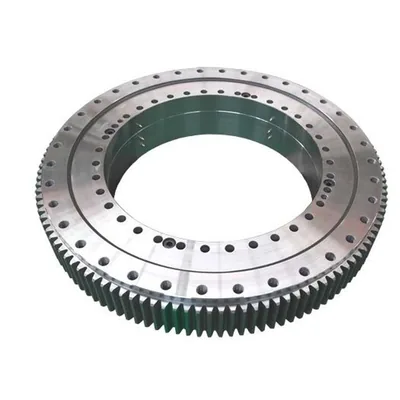 AGV slewing bearing, main product view