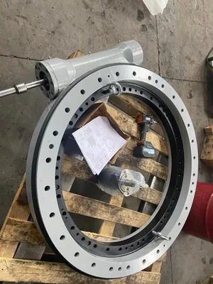 WH37 slewing drive, main product view